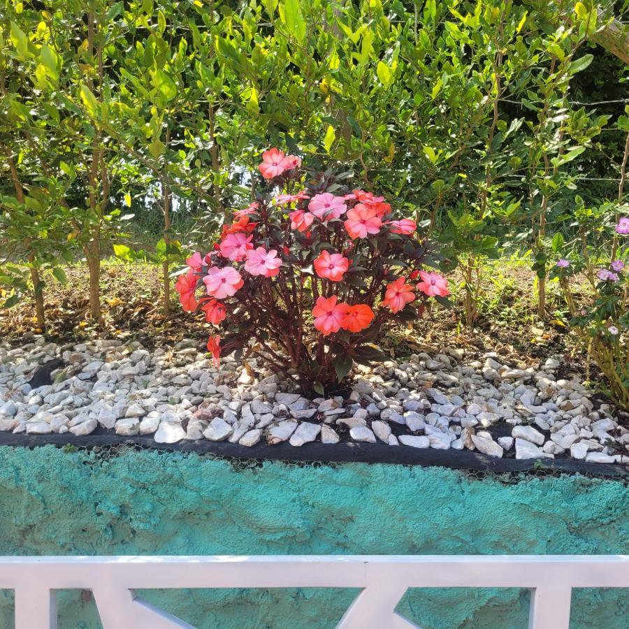 Finca Hotel El Turpial Quimbaya Dış mekan fotoğraf